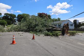 damage assessment banner