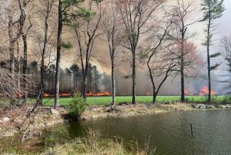 fire management assistance grants banner