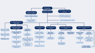 Org Chart